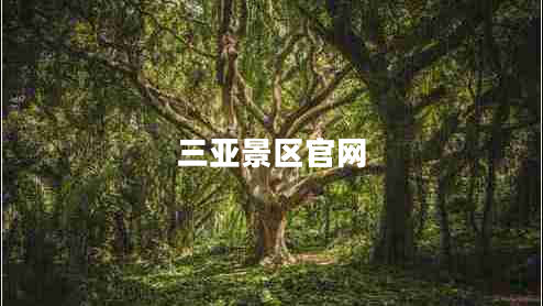 三亞景區官網(wǎng)