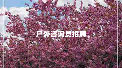 戶(hù)外咨詢(xún)員招聘