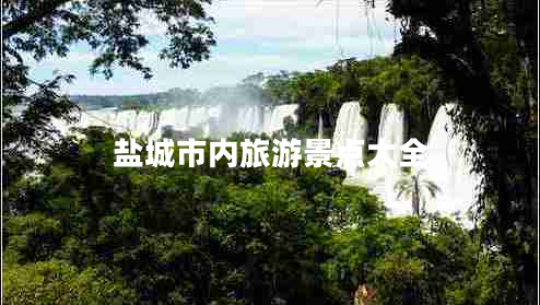 鹽城市內旅游景點(diǎn)大全