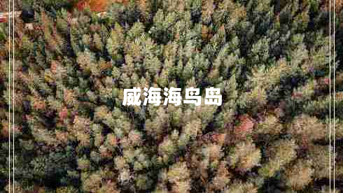 威海海鳥(niǎo)島