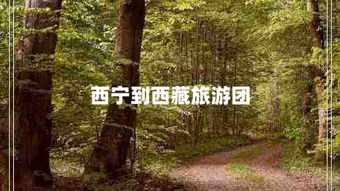 西寧到西藏旅游團