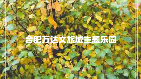 合肥萬(wàn)達文旅城主題樂(lè )園