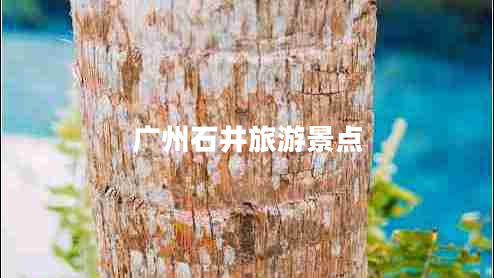 廣州石井旅游景點(diǎn)