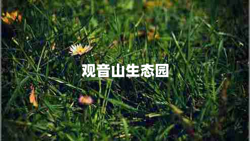 觀(guān)音山生態(tài)園