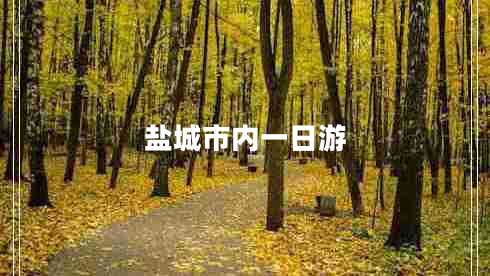 鹽城市內一日游 鹽城市內一日游