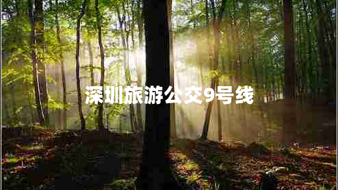 深圳旅游公交9號線(xiàn)