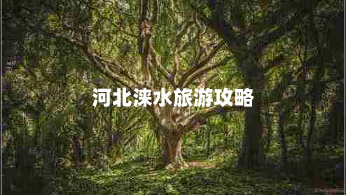 河北淶水旅游攻略