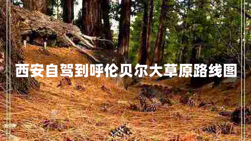西安自駕到呼倫貝爾大草原路線(xiàn)圖