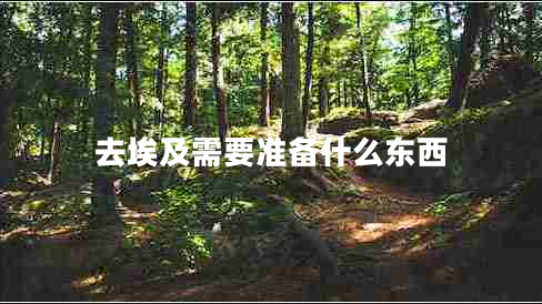 去埃及需要準備什么東西