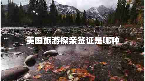 美國旅游探親簽證是哪種