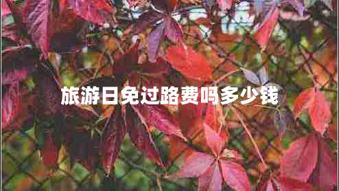 旅游日免過(guò)路費嗎多少錢(qián)