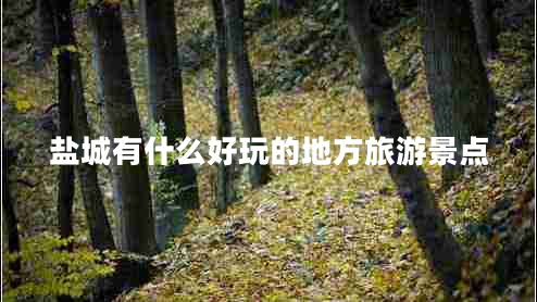 鹽城有什么好玩的地方旅游景點(diǎn) 鹽城有什么好玩的地方旅游景點(diǎn)