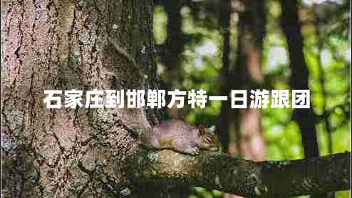 石家莊到邯鄲方特一日游跟團