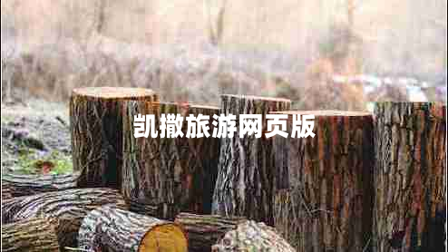 凱撒旅游網(wǎng)頁(yè)版