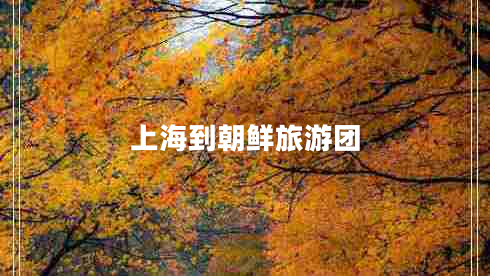 上海到朝鮮旅游團