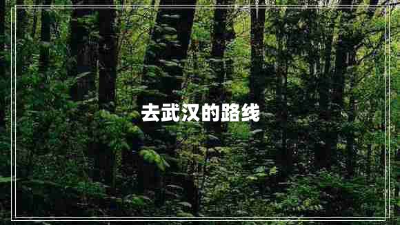 去武漢的路線(xiàn)