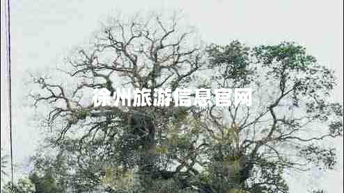 徐州旅游信息官網(wǎng)