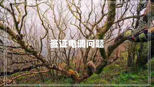 簽證電調問(wèn)題