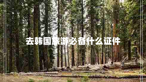 去韓國旅游必備什么證件