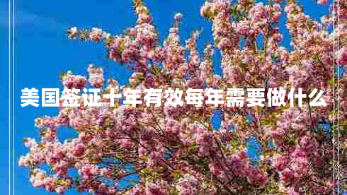 美國簽證十年有效每年需要做什么