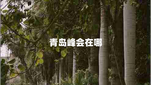 青島峰會(huì )在哪