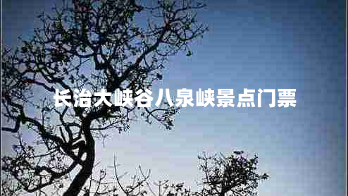 長(cháng)治大峽谷八泉峽景點(diǎn)門(mén)票