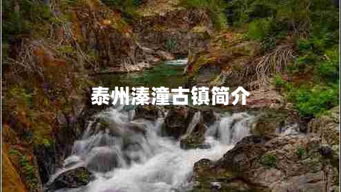 泰州溱潼古鎮簡(jiǎn)介