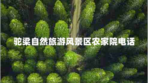 駝梁自然旅游風(fēng)景區農家院電話(huà)