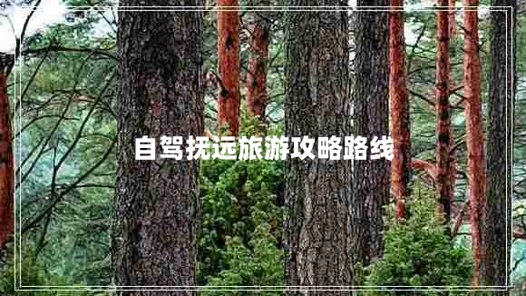 自駕撫遠旅游攻略路線(xiàn)