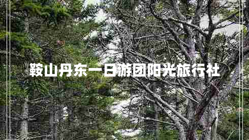 鞍山丹東一日游團陽(yáng)光旅行社 鞍山丹東一日游團陽(yáng)光旅行社