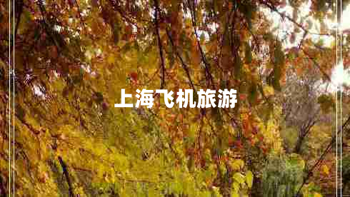 上海飛機旅游