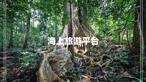 海上旅游平臺