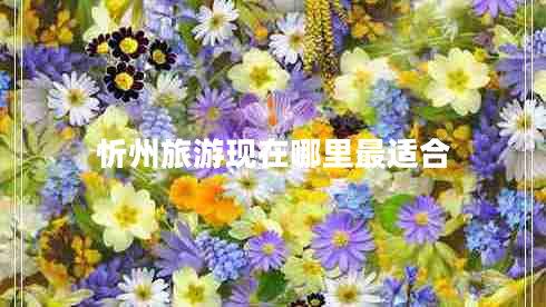 忻州旅游現在哪里最適合