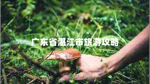 廣東省湛江市旅游攻略