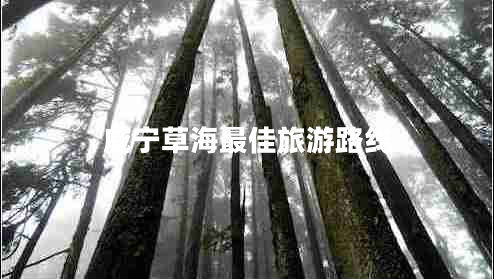 威寧草海最佳旅游路線(xiàn)