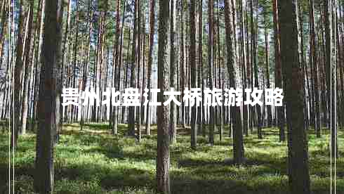 貴州北盤(pán)江大橋旅游攻略