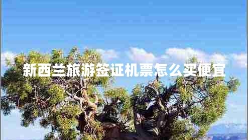 新西蘭旅游簽證機票怎么買(mǎi)便宜