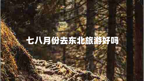 七八月份去東北旅游好嗎
