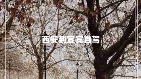 西安到宜賓自駕