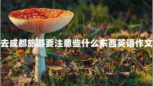 去成都旅游要注意些什么東西英語(yǔ)作文