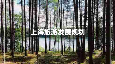 上海旅游發(fā)展規劃