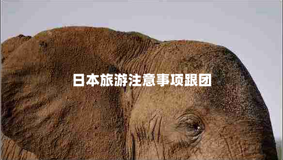 日本旅游注意事項跟團