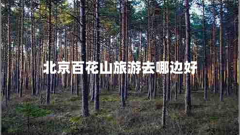 北京百花山旅游去哪邊好