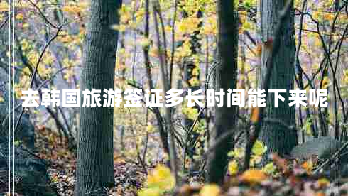 去韓國旅游簽證多長(cháng)時(shí)間能下來(lái)呢