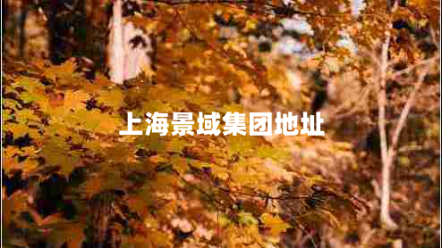 上海景域集團地址