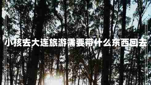 小孩去大連旅游需要帶什么東西回去