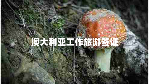 澳大利亞工作旅游簽證 澳大利亞工作旅游簽證