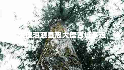 大理洱源縣離大理古城多遠