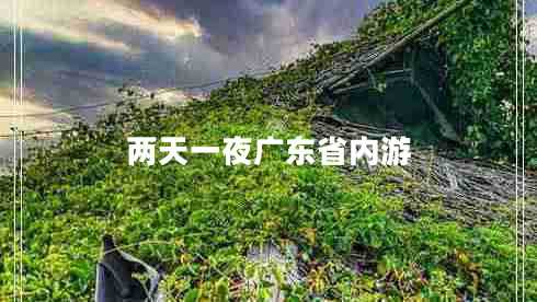 兩天一夜廣東省內游