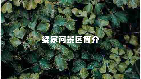 梁家河景區簡(jiǎn)介
